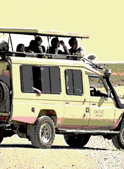 Cruiser1b